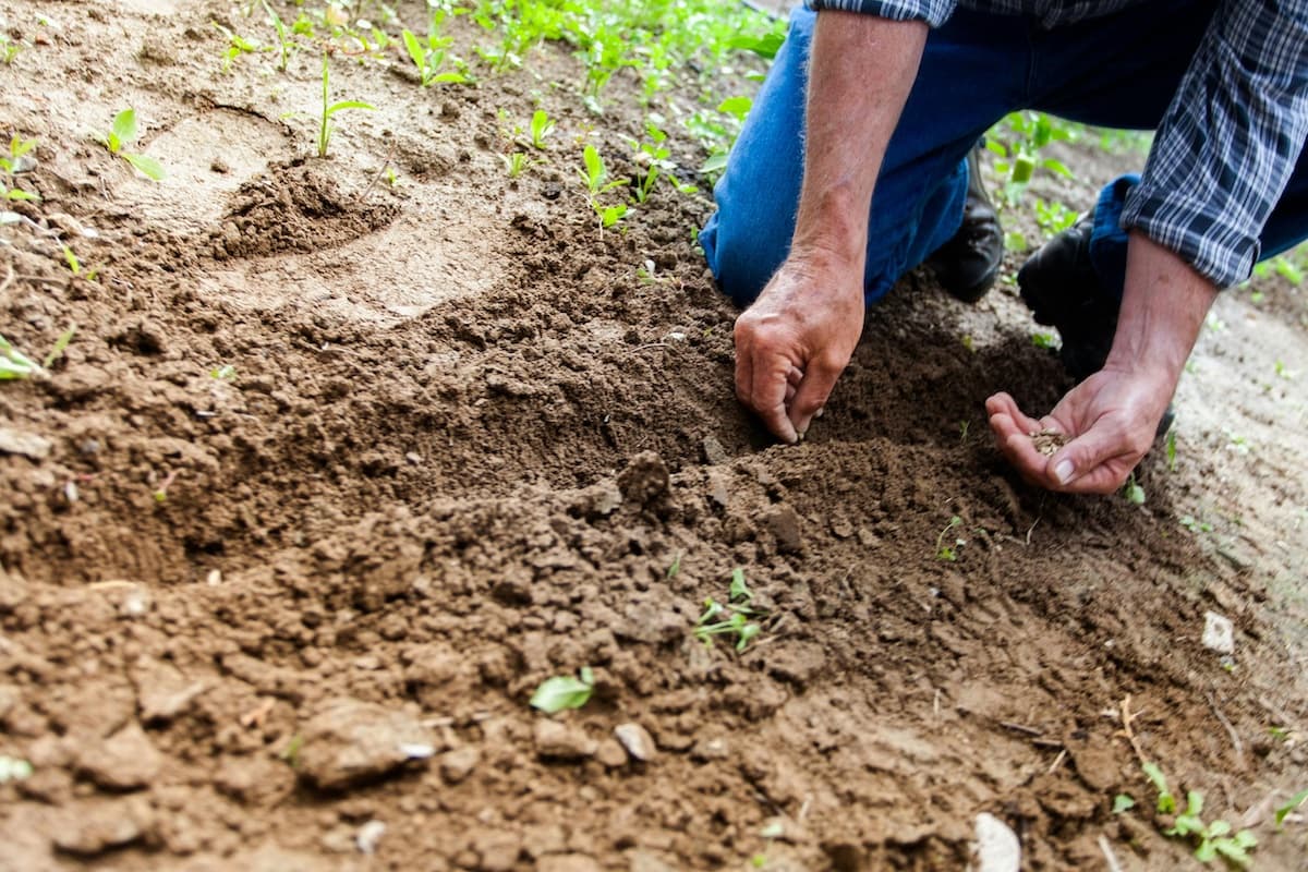 Gardening Leave: What It Means and How It’s Used in HR Management