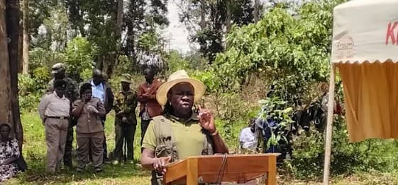 Govt begins rebranding TVETs to meet market demands