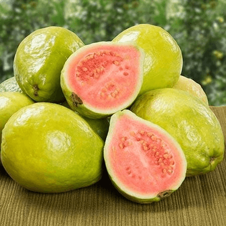 FarmBiz TV:Grafted guava tree earns Sh2K per tree in a season