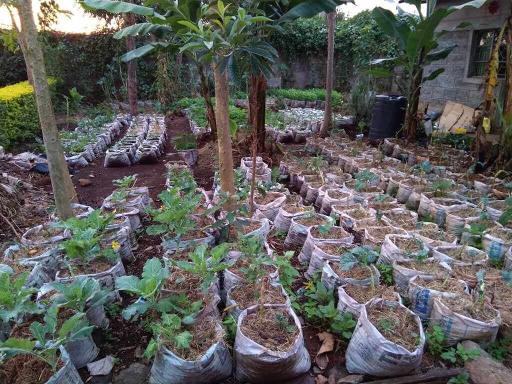 Innovator: farmer fills cement bags to create a mountain of food