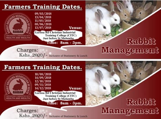 Association looking for farmers to rear rabbits