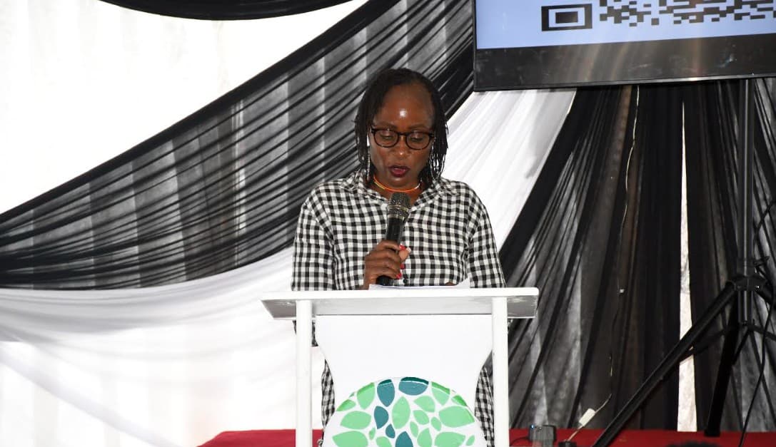 Government Enhances Grassroots Data for Better Development Planning