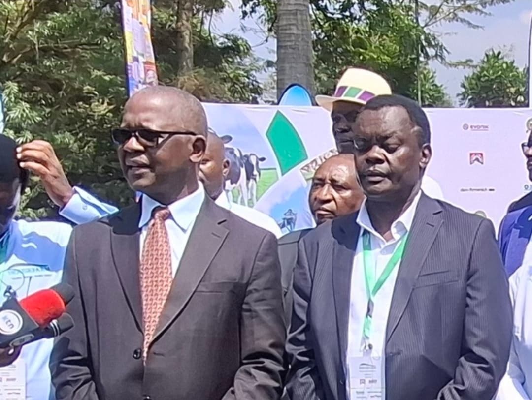 Government to roll out Sh465 billion strategy to cut animal feed costs