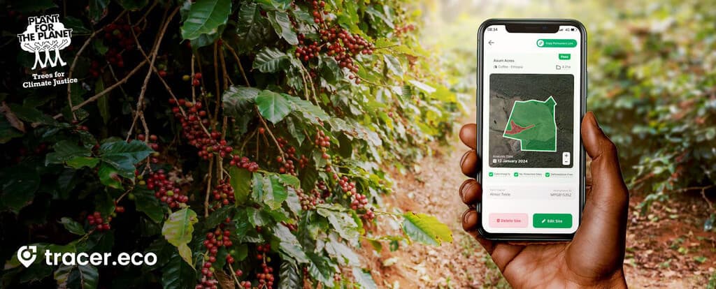 Farmers fearing coffee sales ban on new rules can check their farms online
