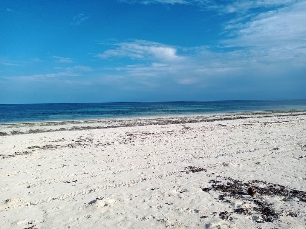 Body of elderly man found floating at Kilifi’s Bofa beach