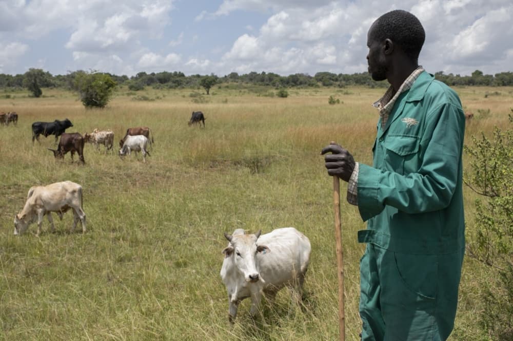 Mukutan conservancy leads the way in sustainable community upliftment