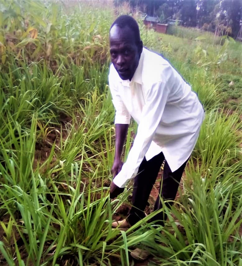 FarmBiz TV:Bracharia grass triples yields for Bungoma dairy farmer
