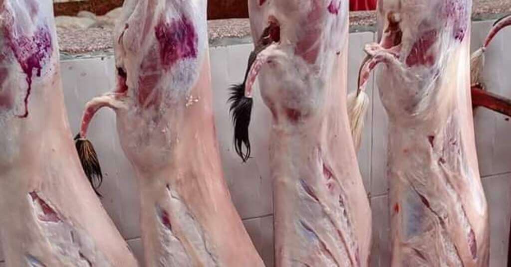 Tumbling dollar slashes Kenya’s goat exports