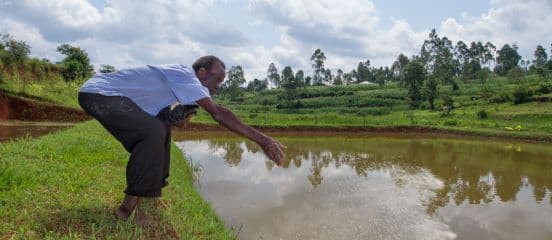 Government signs financial agreement with an international funding organization to boost fish farming in Kenya