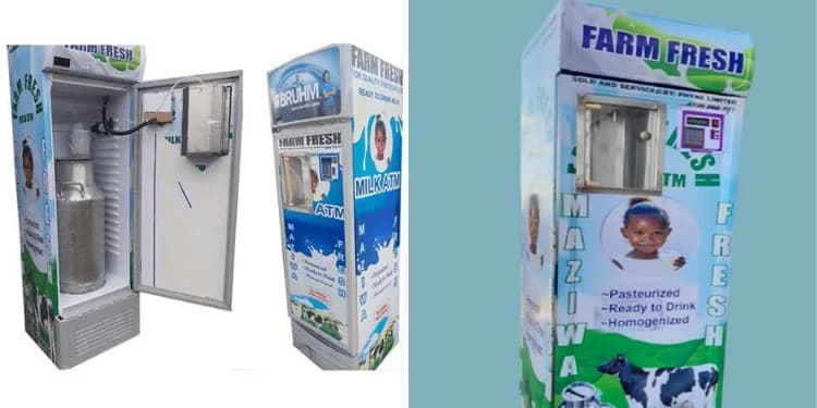 How Much Does It Cost to Start a Milk ATM Business in Kenya in 2026? (Full Breakdown)